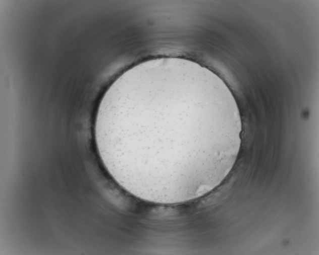 X0000100390354200807031955