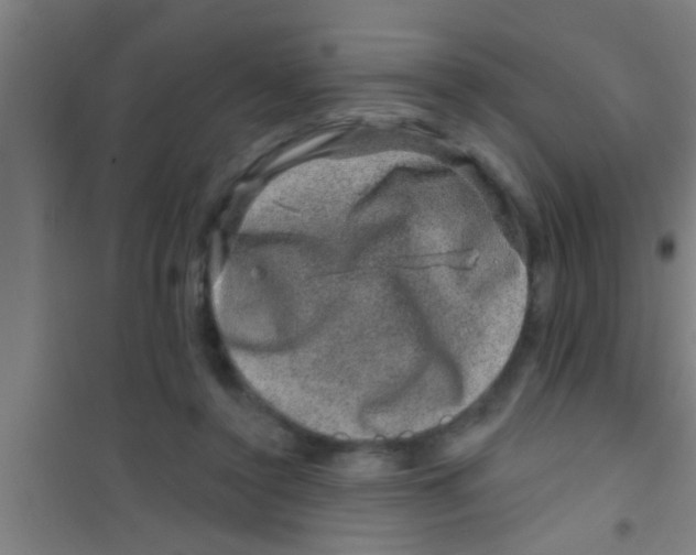 X0000100390356200807031955