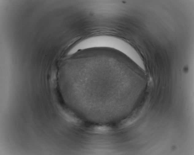 X0000100390360200807031955