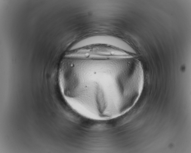 X0000100390364200807031955