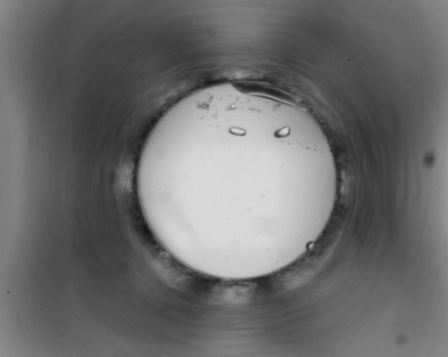 X0000100390368200807031955