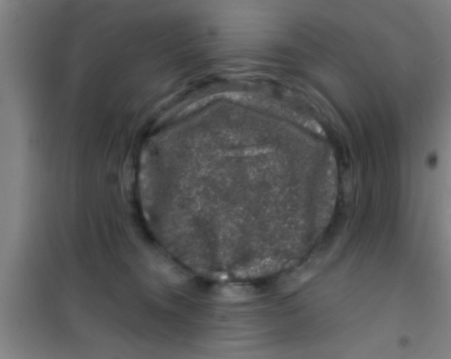 X0000100390372200807031955