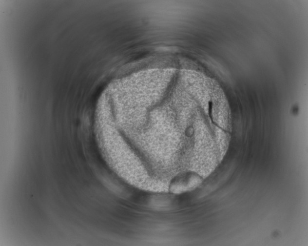 X0000100390373200807031955