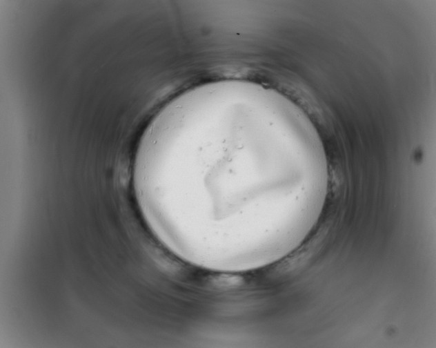 X0000100390374200807031955