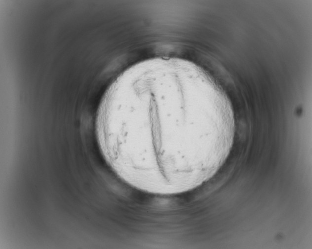 X0000100390375200807031955