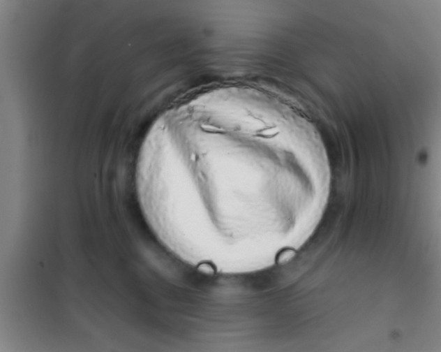 X0000100390376200807031955