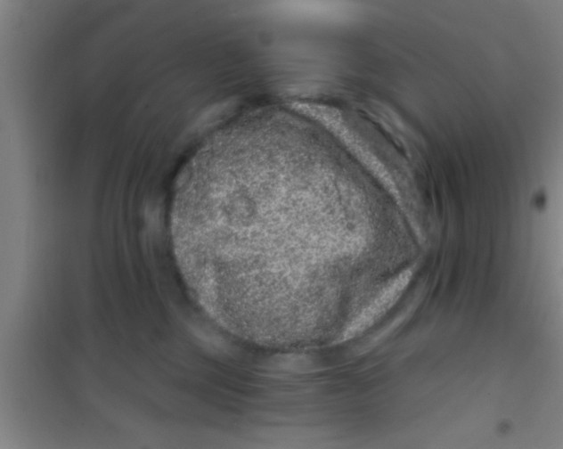 X0000100390377200807031955