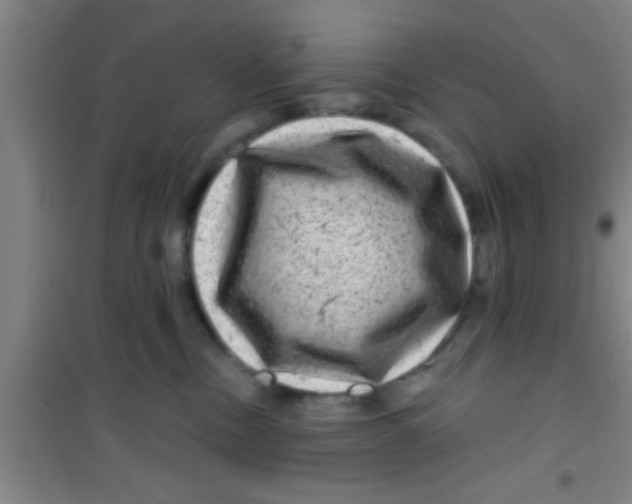 X0000100390378200807031955