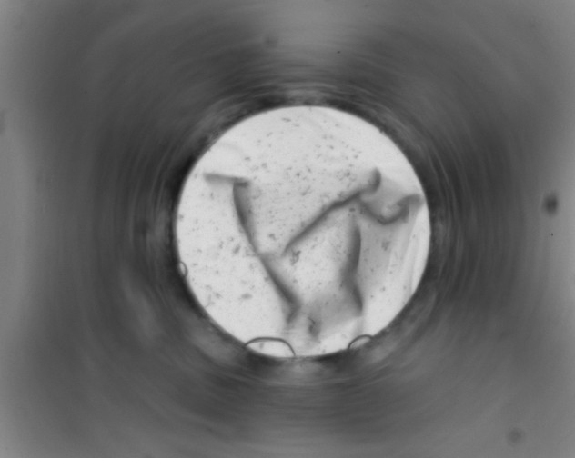 X0000100390379200807031955