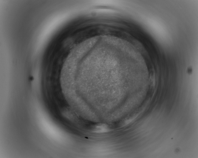 X0000100390381200807031955