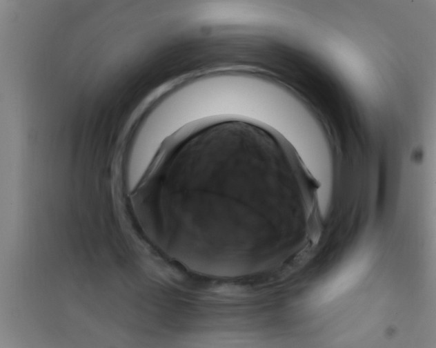 X0000100390387200807031954