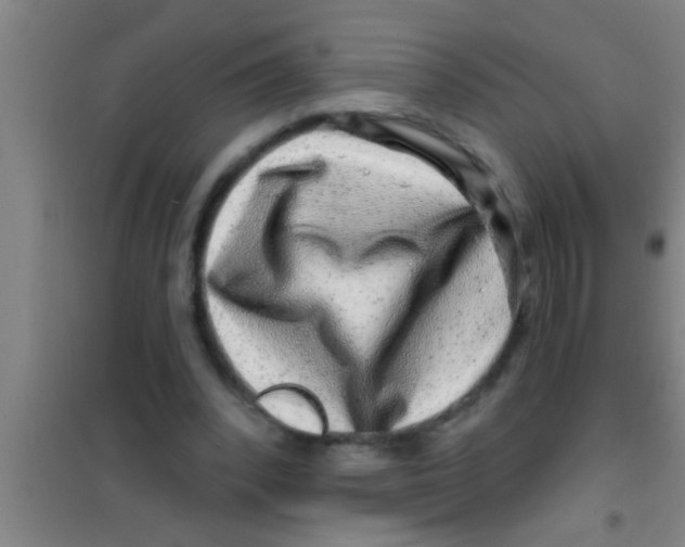 X0000100390392200807031954