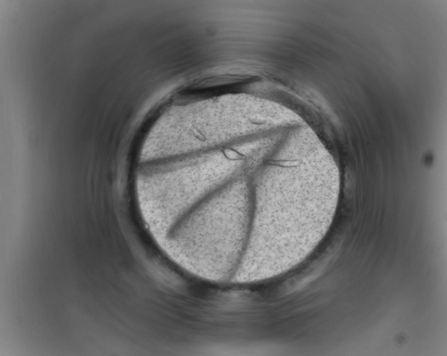 X0000100390396200807031954