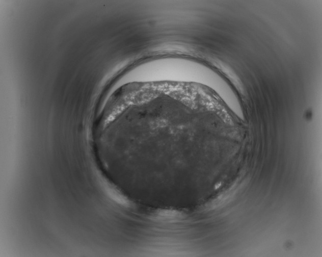 X0000100390399200807031954