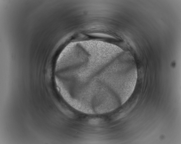 X0000100390400200807031954