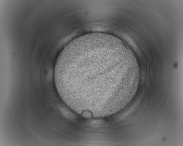 X0000100390401200807031954