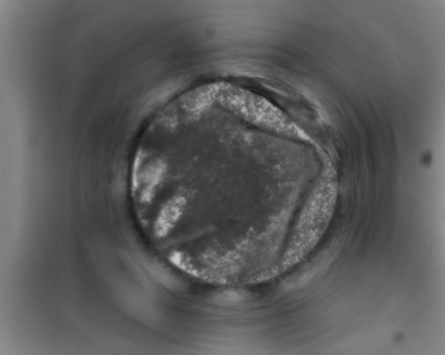 X0000100390402200807031954