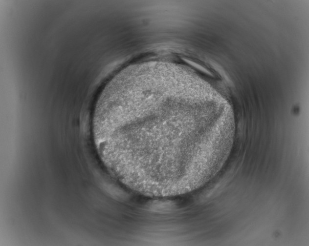 X0000100390403200807031954