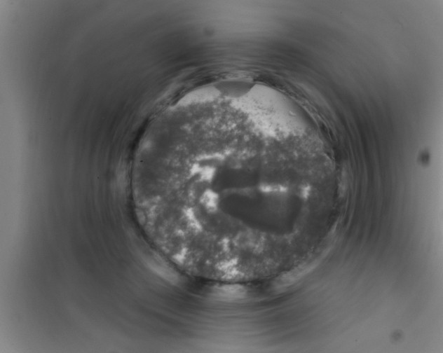 X0000100390409200807031954