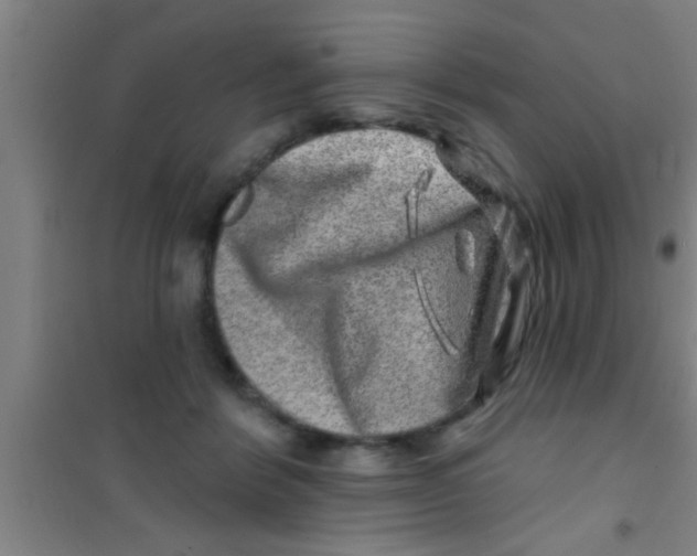 X0000100390412200807031954