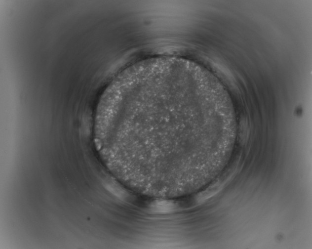 X0000100390413200807031954