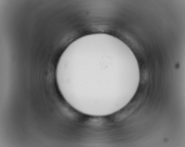 X0000100390414200807031954