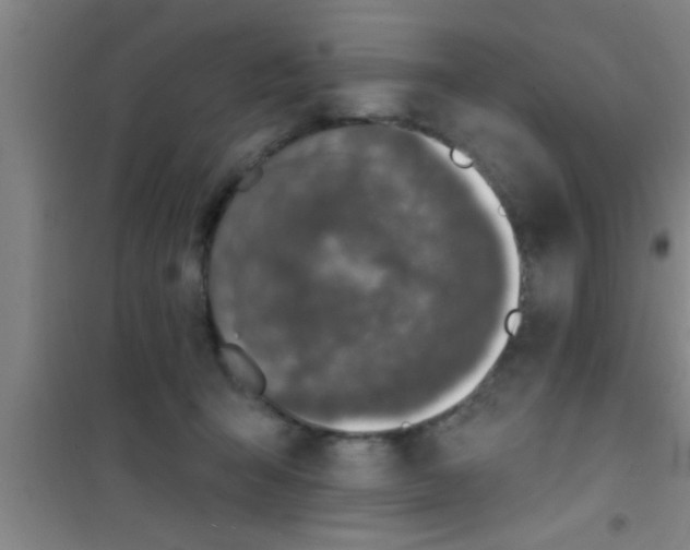 X0000100390415200807031954