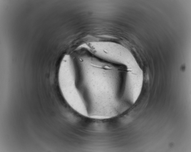 X0000100390416200807031954