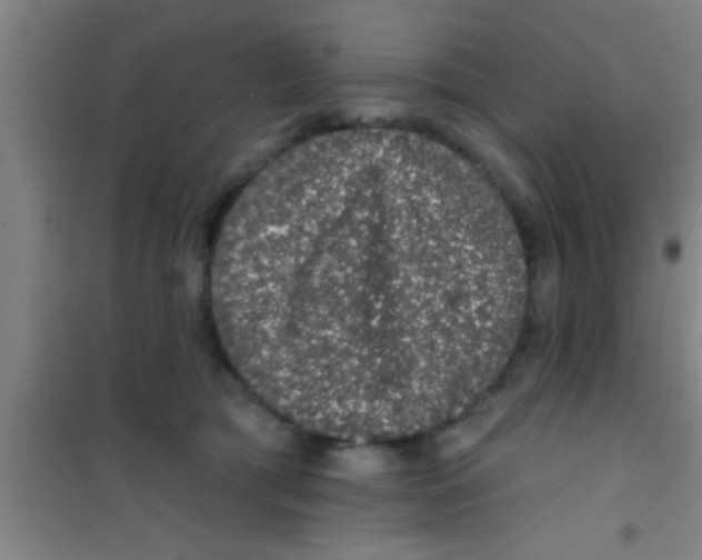 X0000100390417200807031954