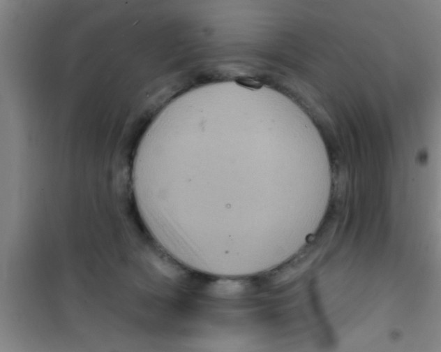 X0000100390418200807031954