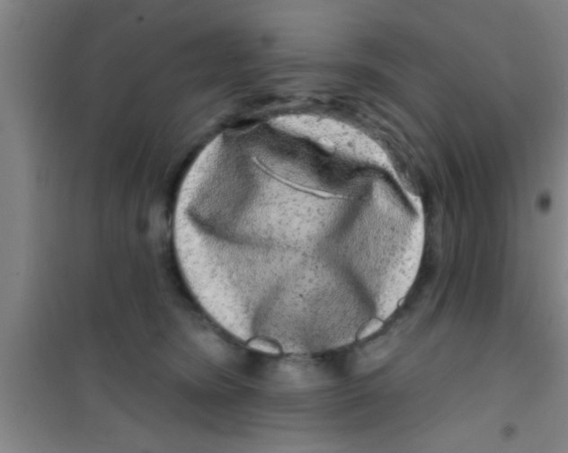 X0000100390420200807031954