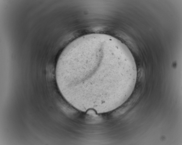 X0000100390421200807031954