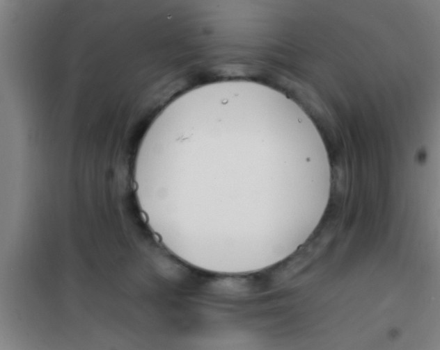 X0000100390422200807031954