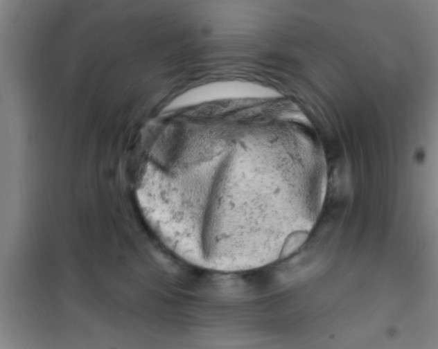 X0000100390424200807031954