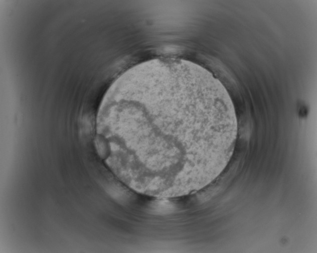 X0000100390425200807031954