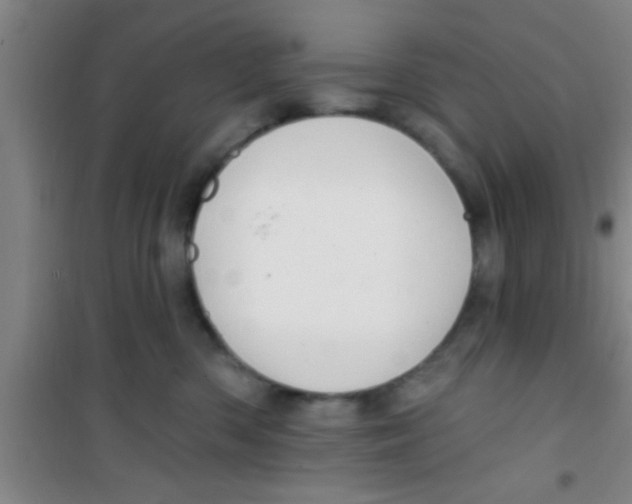 X0000100390426200807031954