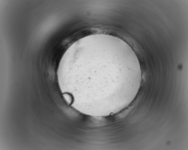 X0000100390429200807031954