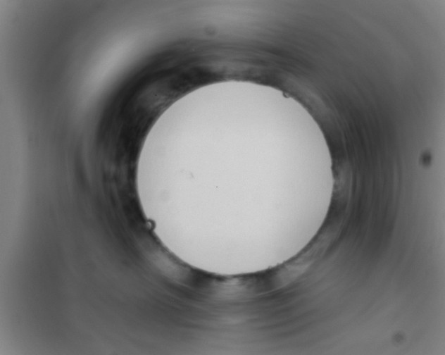 X0000100390430200807031954