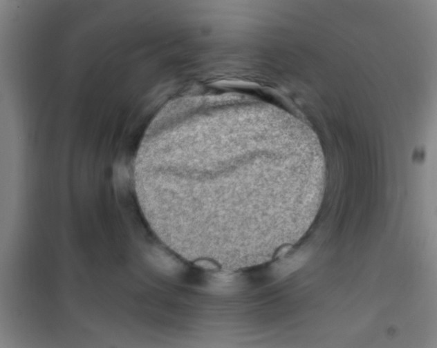 X0000100390432200807031954