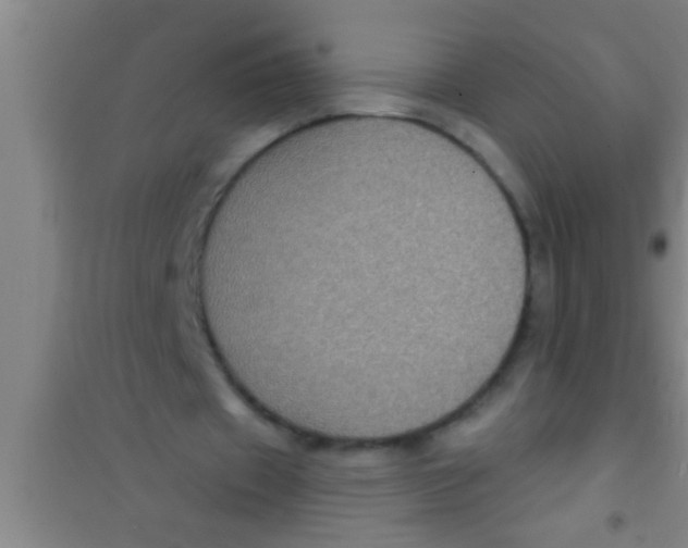 X0000100390433200807031953