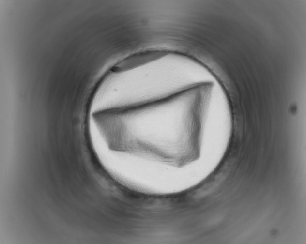 X0000100390434200807031953