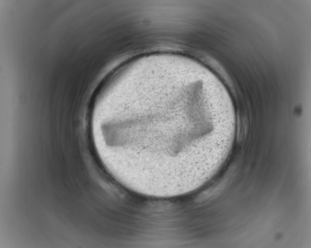 X0000100390435200807031953