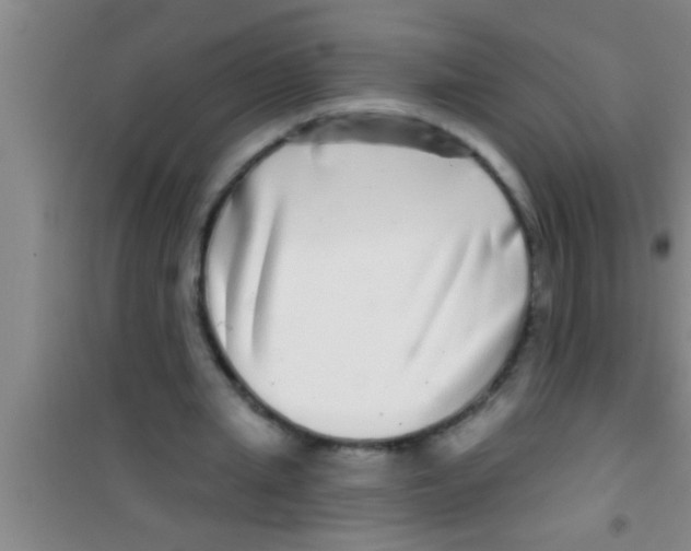 X0000100390437200807031953