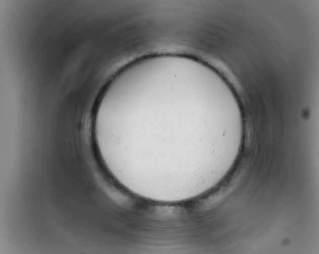 X0000100390439200807031953