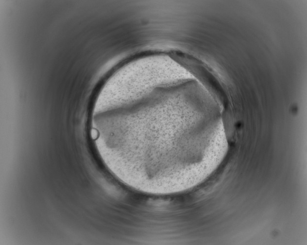 X0000100390440200807031953