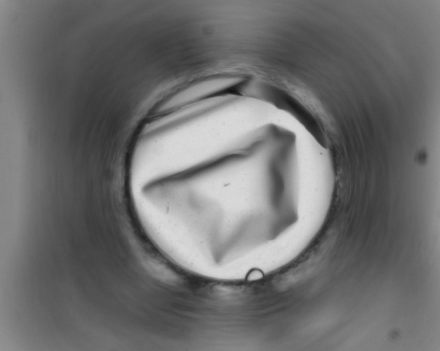 X0000100390442200807031953