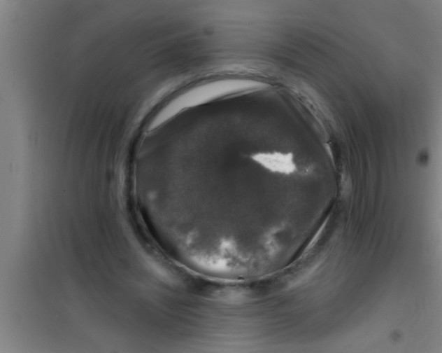 X0000100390444200807031953