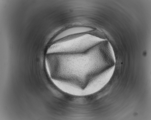 X0000100390446200807031953