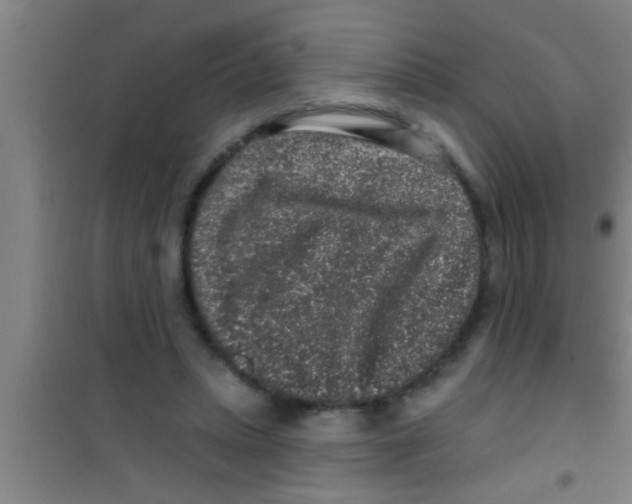 X0000100390447200807031953