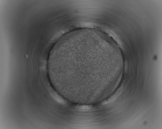 X0000100390449200807031953